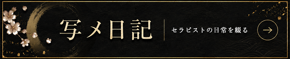 写メ日記